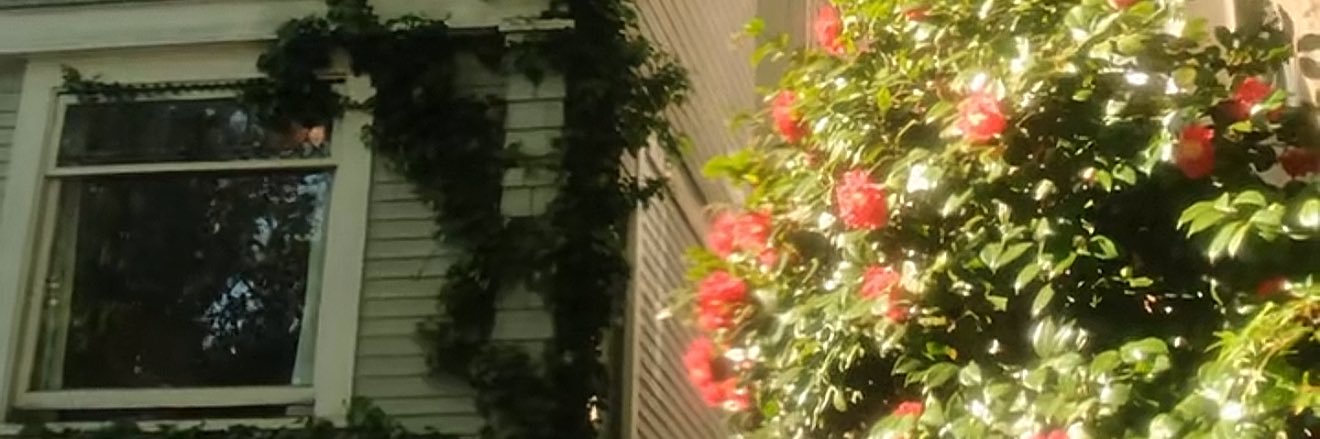 ⊹ banner