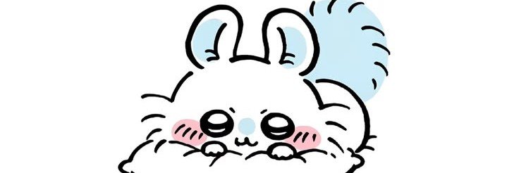 chillechinchill's profile banner image
