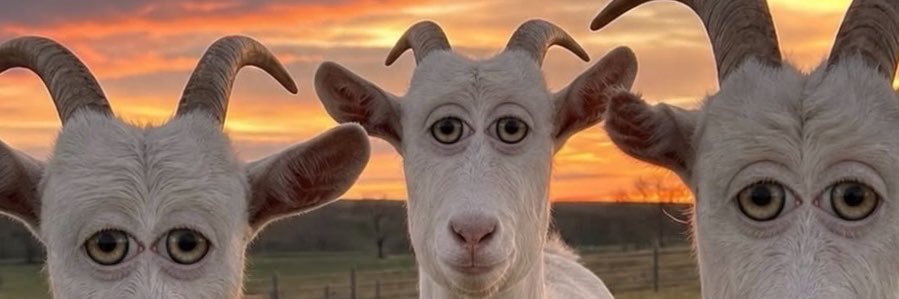 Meowienkithing's profile banner image