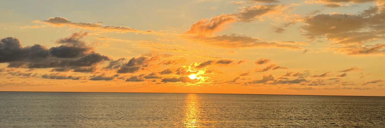 Fernally63's profile banner image