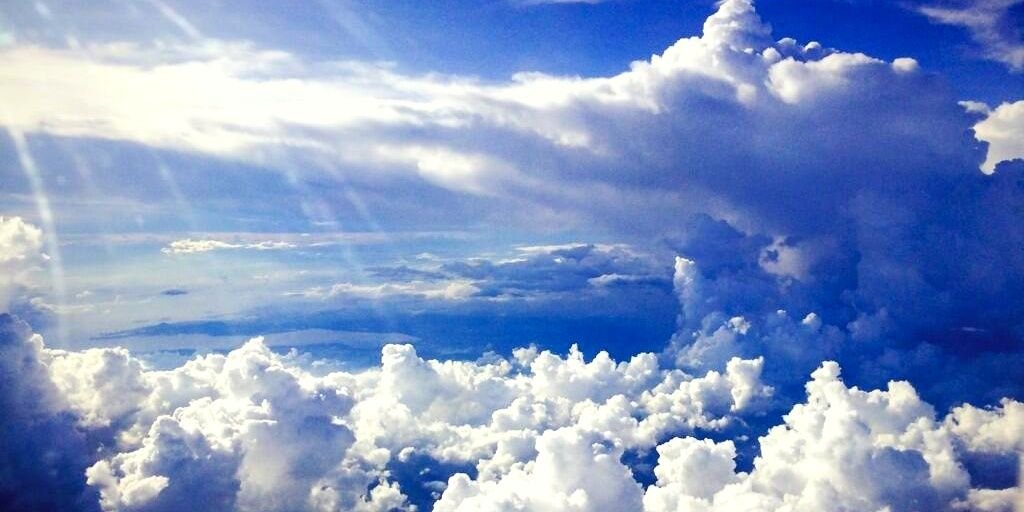 petrichor__'s profile banner image