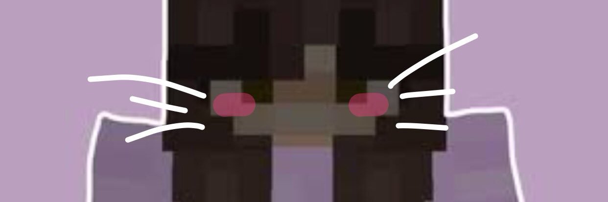 chickenchatss's profile banner image