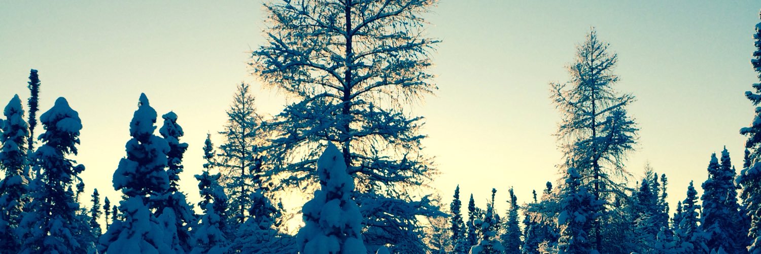 anotherchrismc's profile banner image