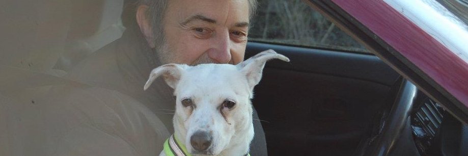 realalternative's profile banner image