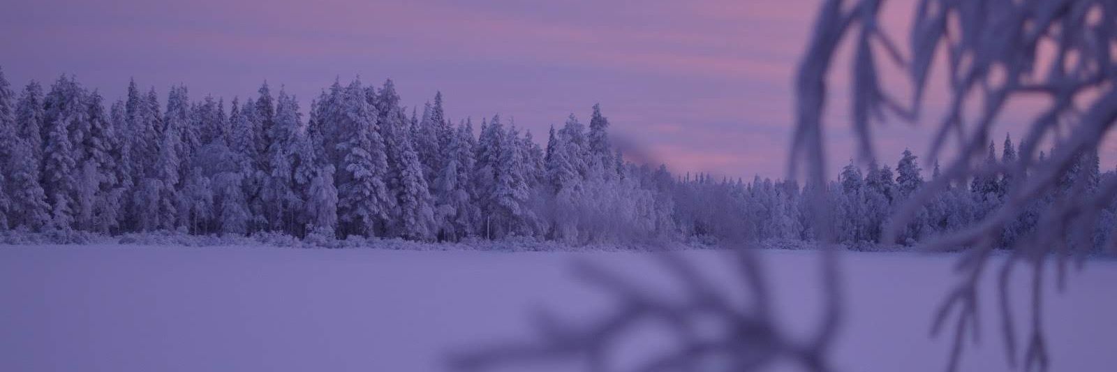 mbankras's profile banner image