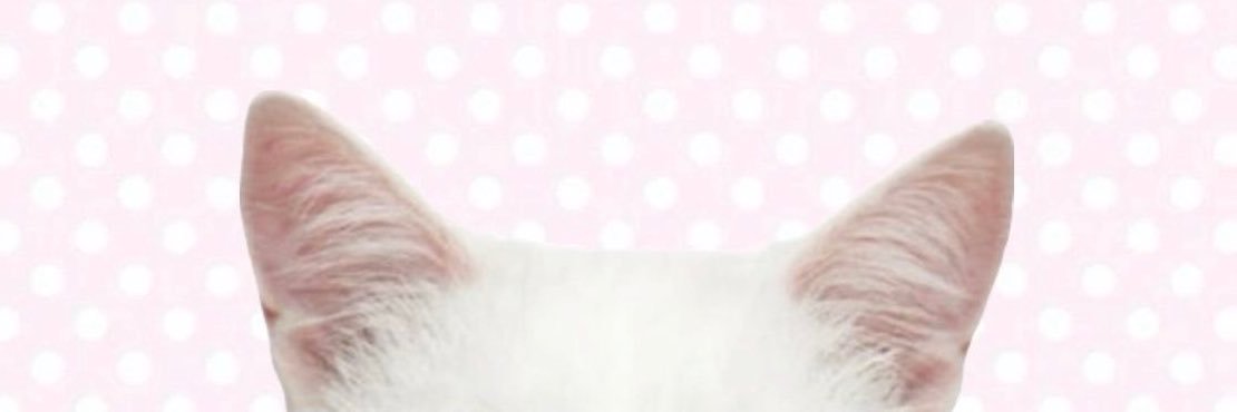Kyra3dUk's profile banner image