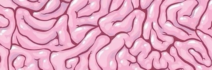𝐌ιᥙ ׅ ꒰ ✚ ꒱ banner