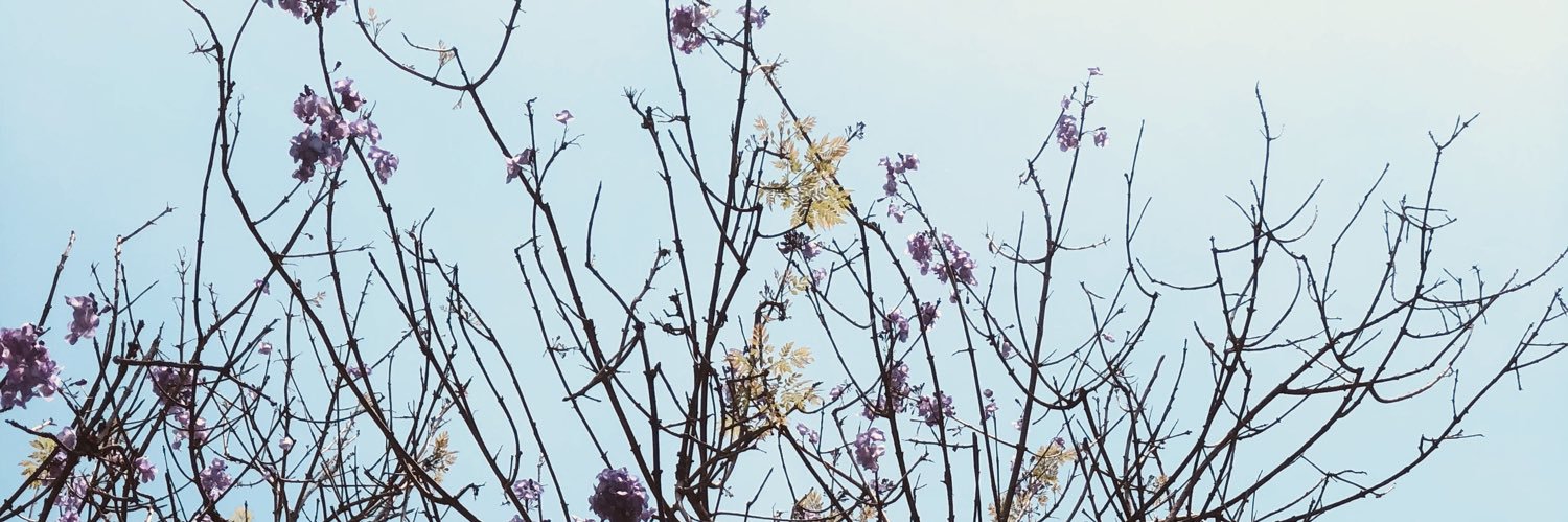 justdelijoe's profile banner image