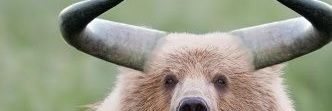 BANSARIe's profile banner image