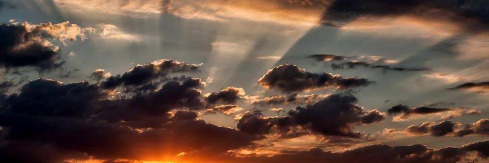 Bobby Deskins WTSP ⚡️ banner