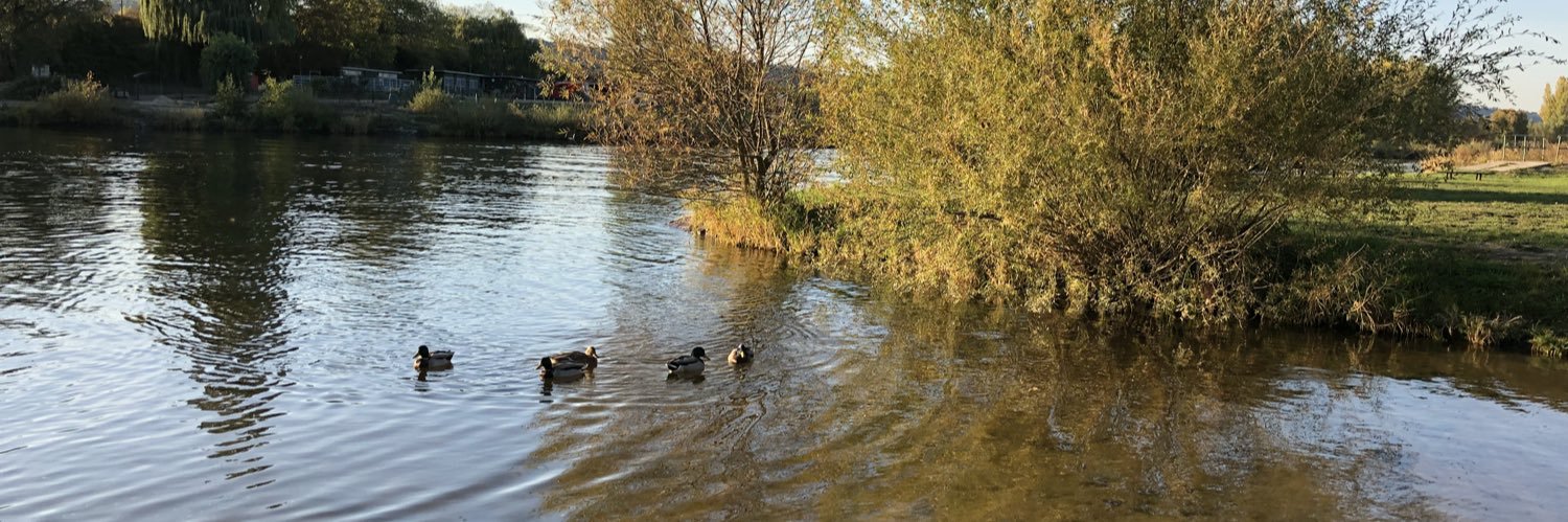 Daniel Steigerwald banner