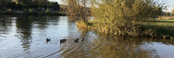 steida Profile Banner