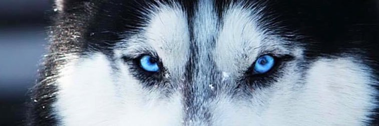 RyanLentz's profile banner image