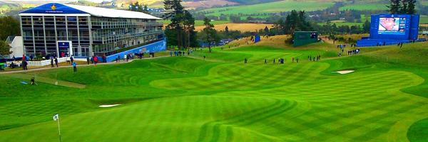 hawkins1981 Profile Banner