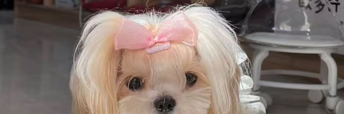 TuuuTv's profile banner image