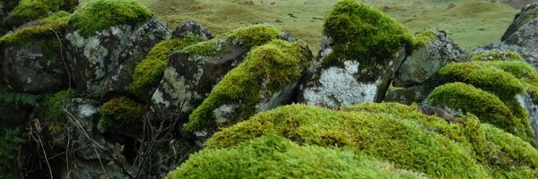 johnoft Profile Banner