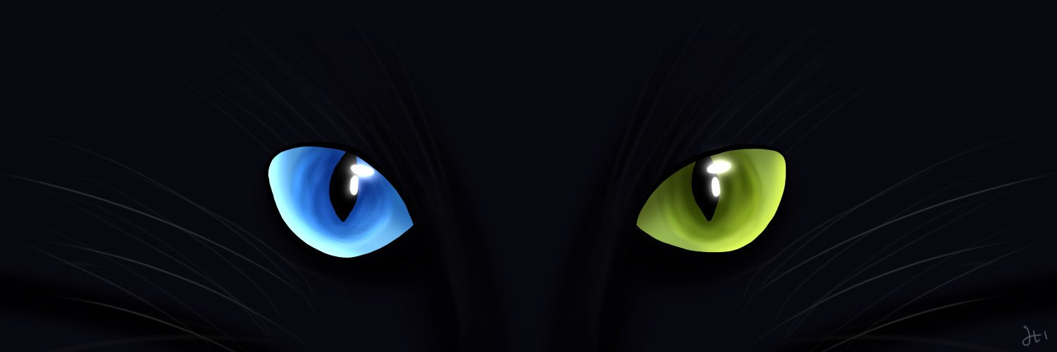 lalanecocyan's profile banner image