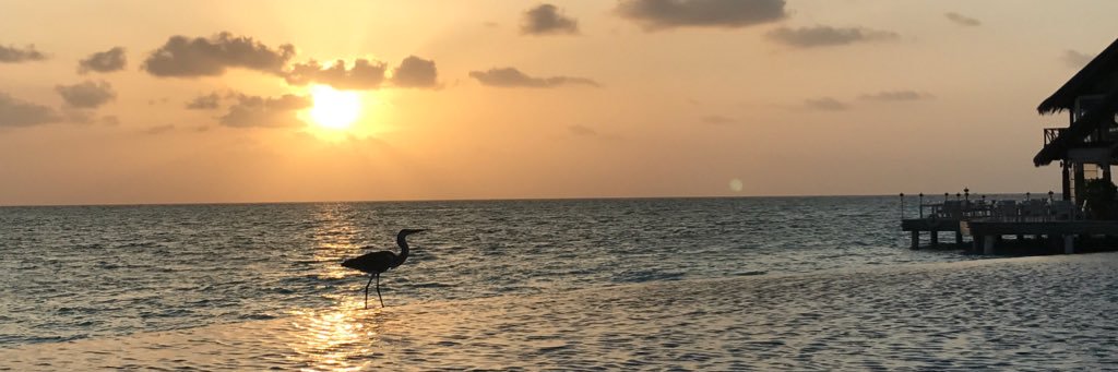 conchacanoyra's profile banner image