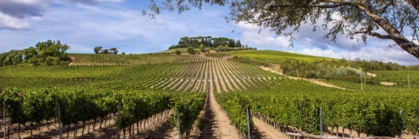 cecchiwinery Profile Banner