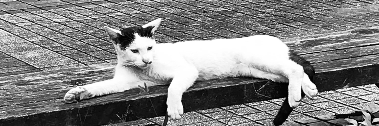 ssrseseri2's profile banner image