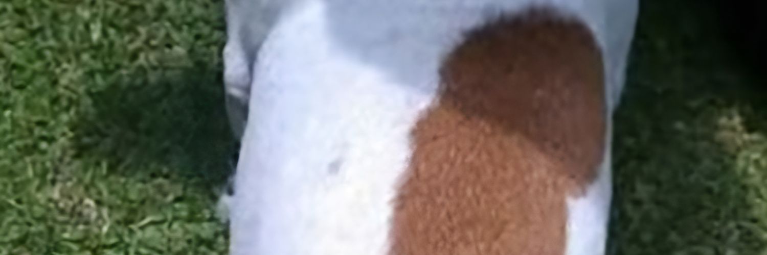 rx1uks's profile banner image