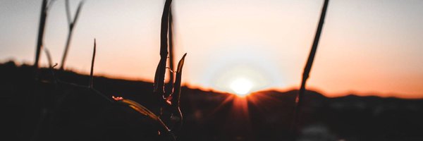 CompromBenissa Profile Banner