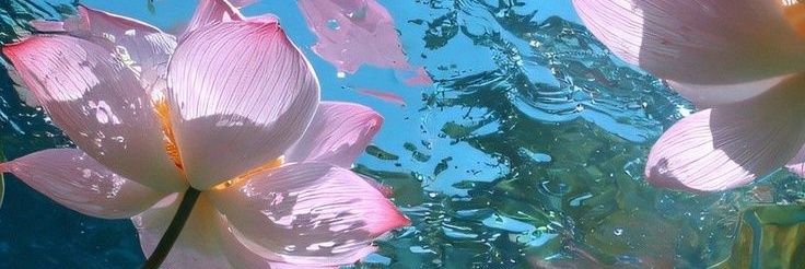 ⋆. 𐙚 ˚ kai edtwt banner
