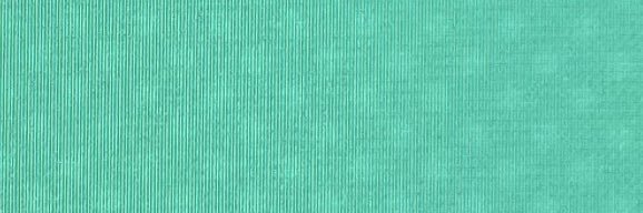 fjluzi's profile banner image