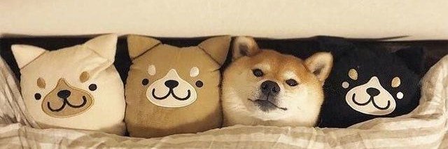 Thesoftpancake0's profile banner image