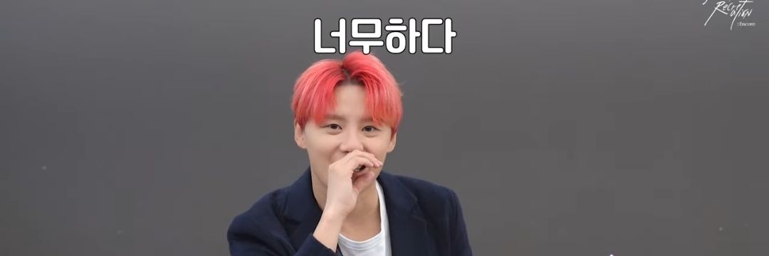 반려먼지 banner