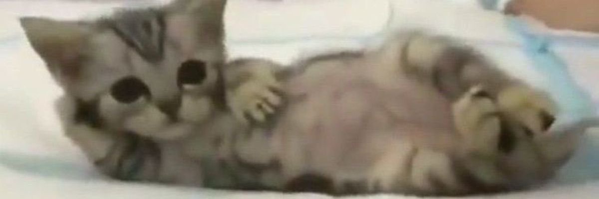 7o7o_y's profile banner image