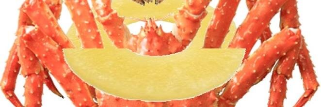 gio_pso2's profile banner image