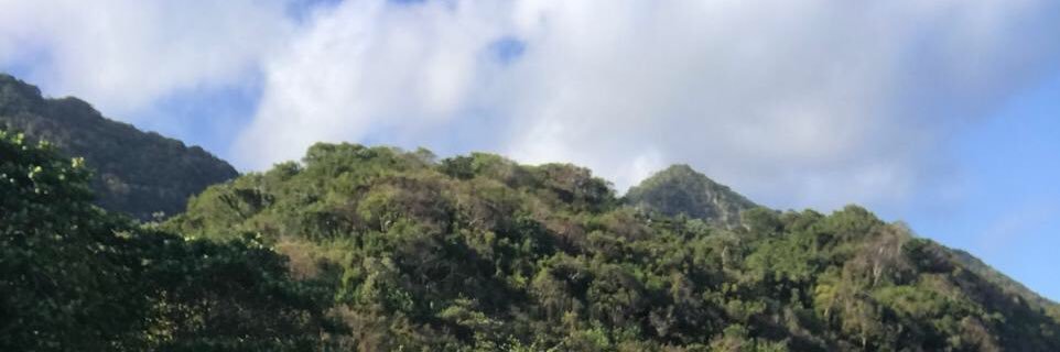 carova_rd's profile banner image