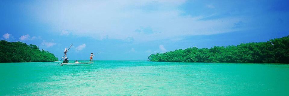shoalkat's profile banner image