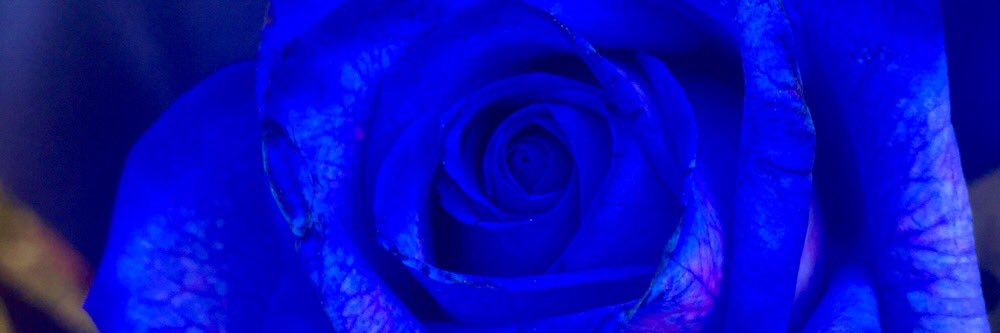 angeyyb's profile banner image