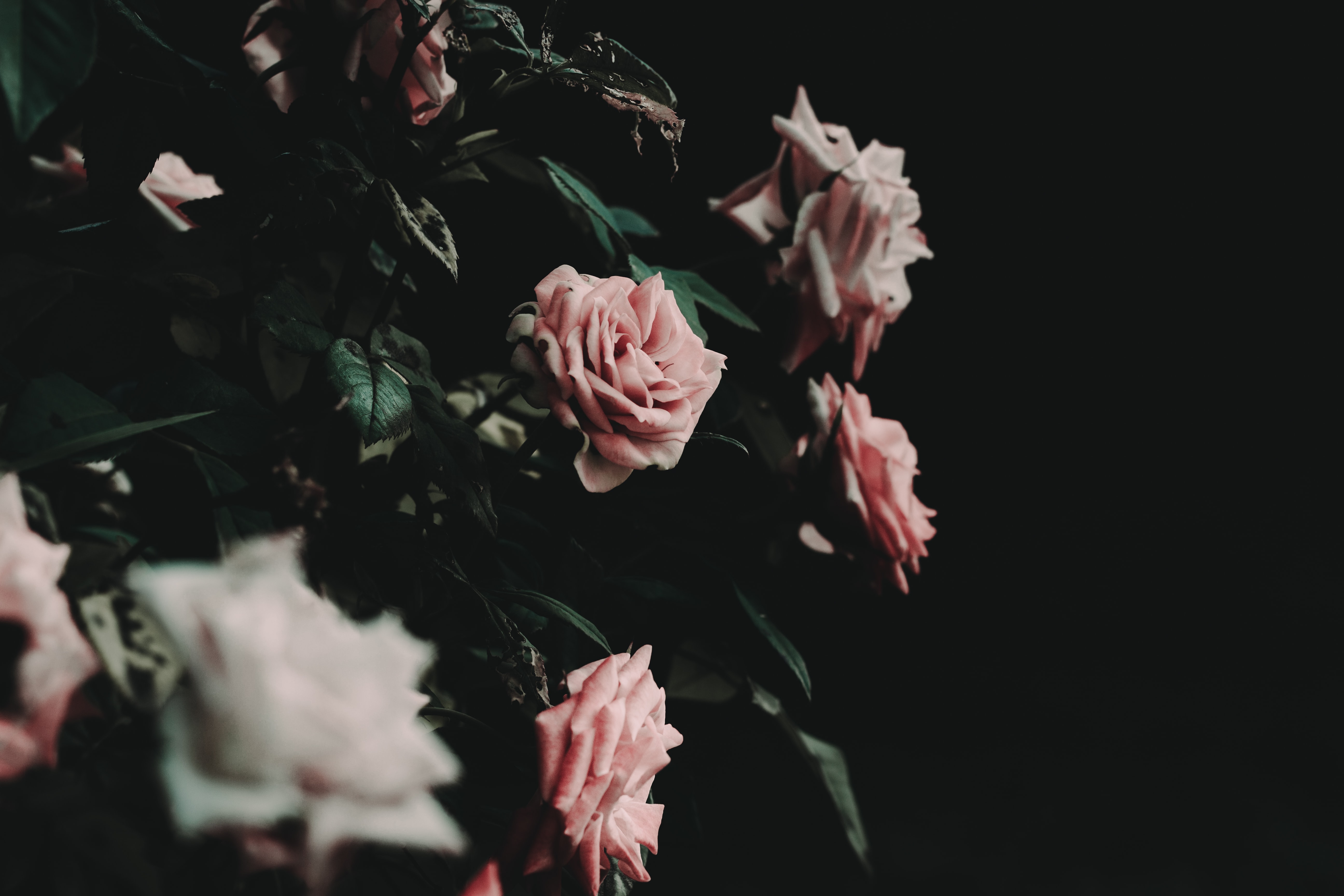 JacobJones05cf's profile banner image