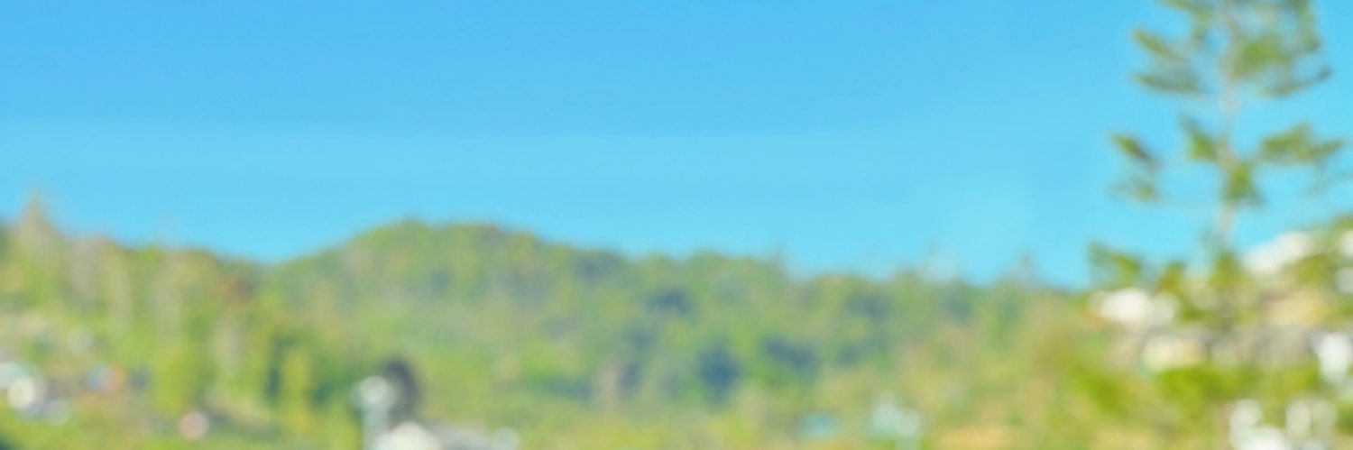 aimyjc's profile banner image