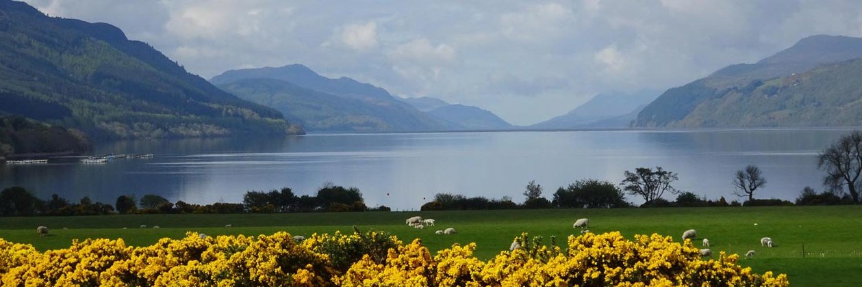 Visit Lochness banner