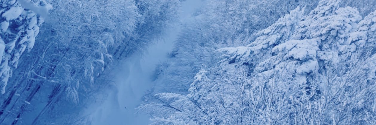 Shahin❄️ banner