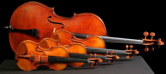 amimuscuerna's profile banner image