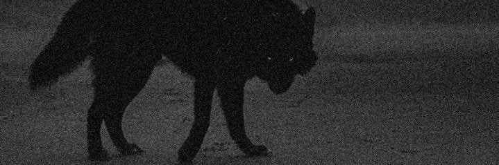 cemiskender's profile banner image