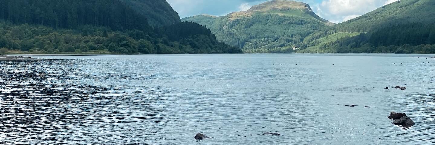 angela mccafferty banner