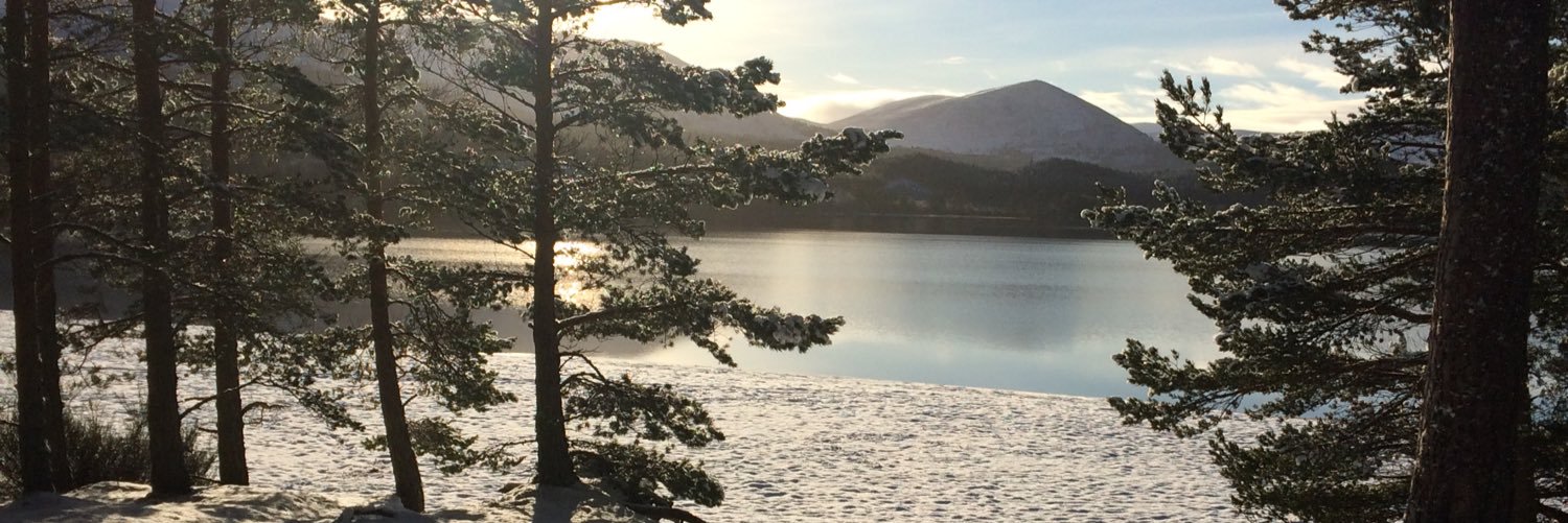 Amanda Carmichael banner