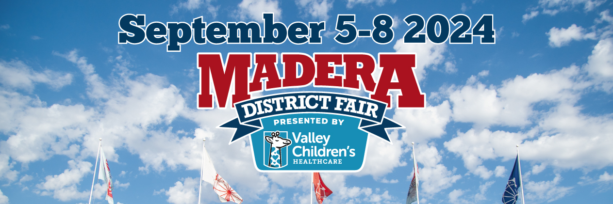 maderafair's profile banner image