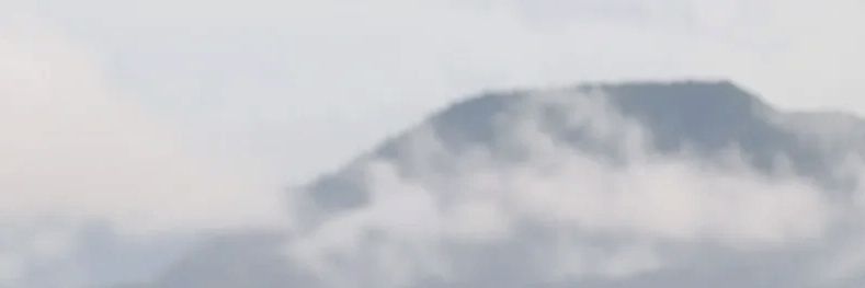 Lovecatbaba's profile banner image