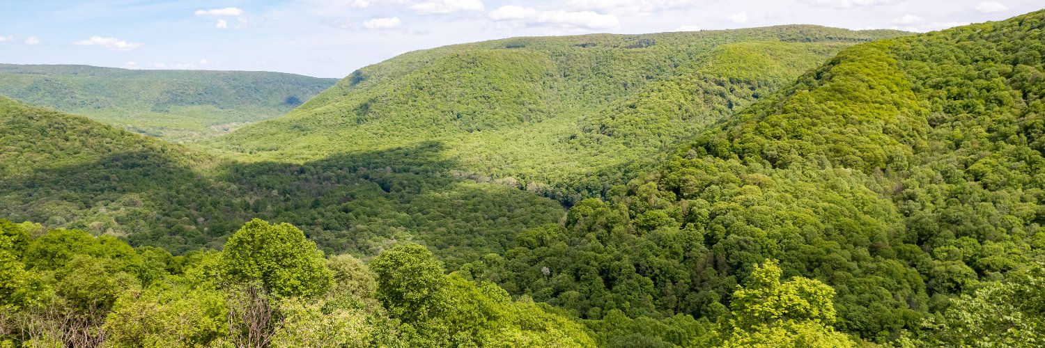 laurelhighlands's profile banner image
