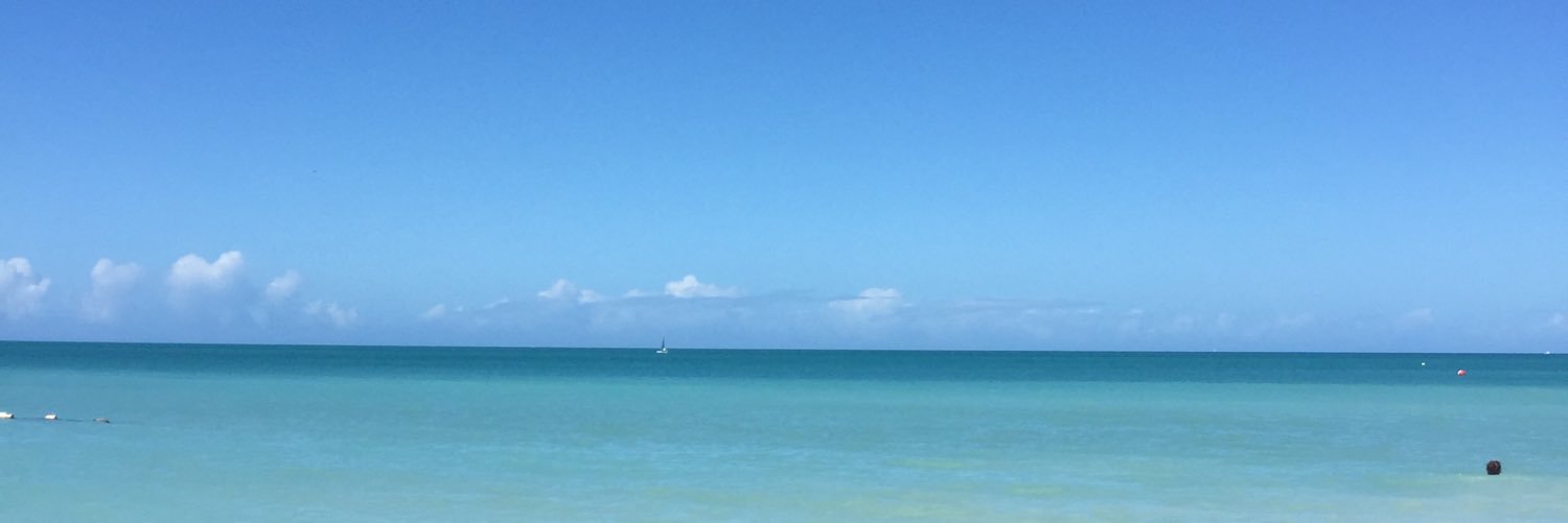 Adam Roylance banner