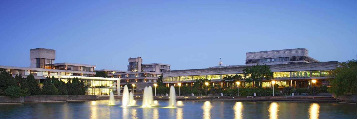 UCD Research Staff Association (RSA) banner