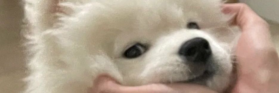 😺🍑 JAOห้ะ 🐰🍓 banner