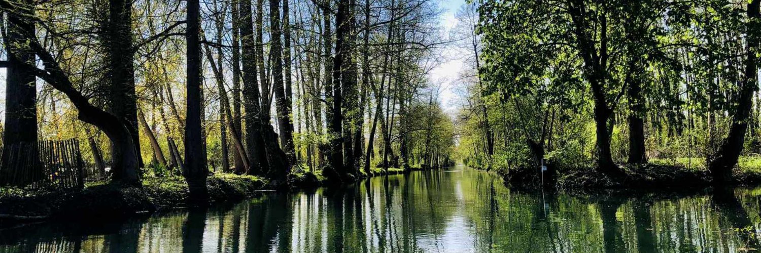 loic_boce's profile banner image